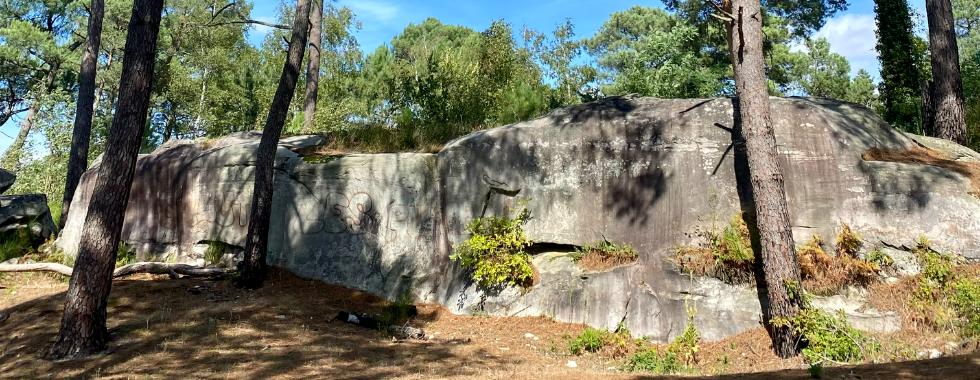 Escapade à Nemours entre rivière et forêt