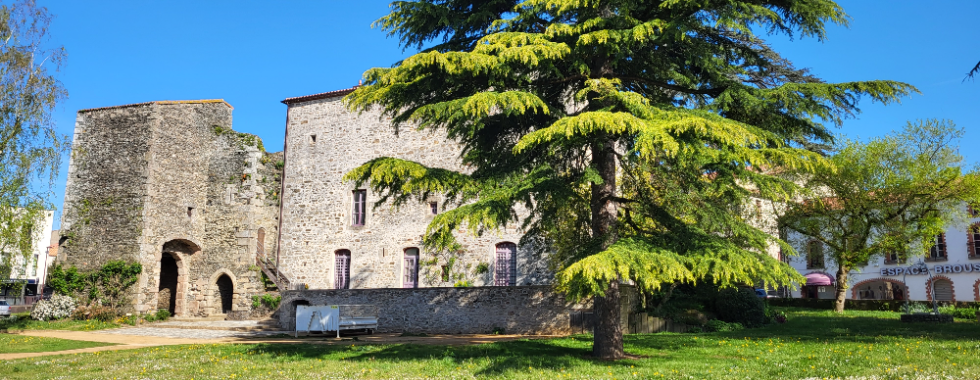 Les Herbiers_Trail des Moulins