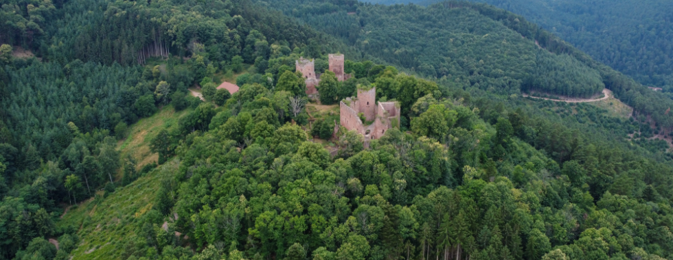 Vignoble et châteaux d'Ottrott