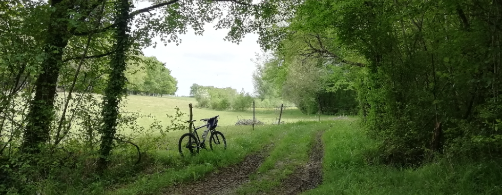ParcoursCCPLauzunVTT1 Forêt Caussegros