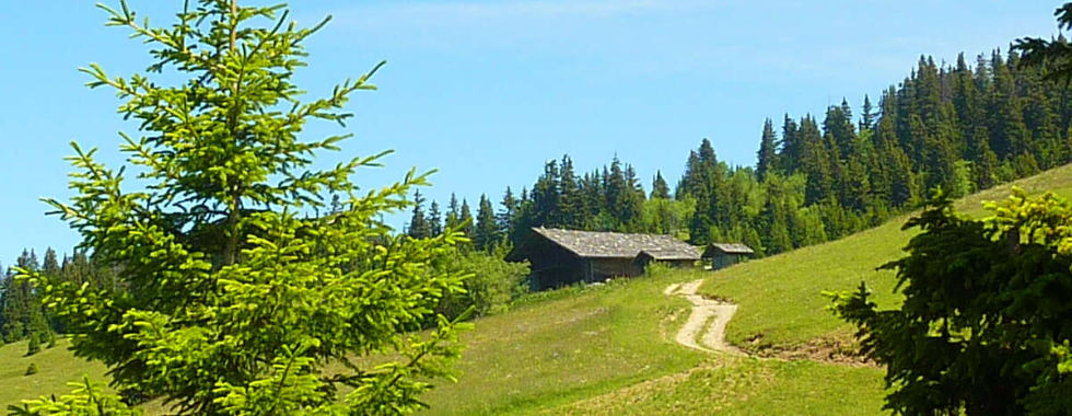 FTT - Les Saisies le Chard du Beurre