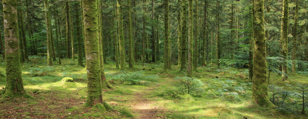 Le tour du Morvan en 9 jours