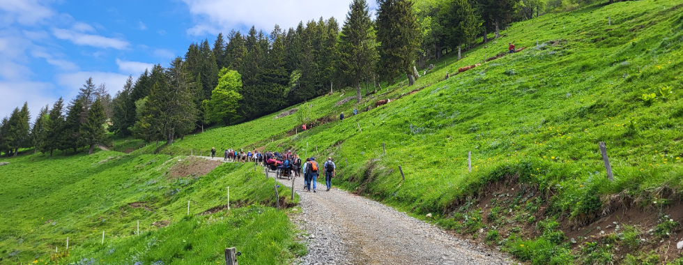 FTT - Plan Bois alpage-école de Sulens