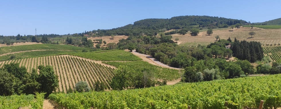 Florence  Super Gravel