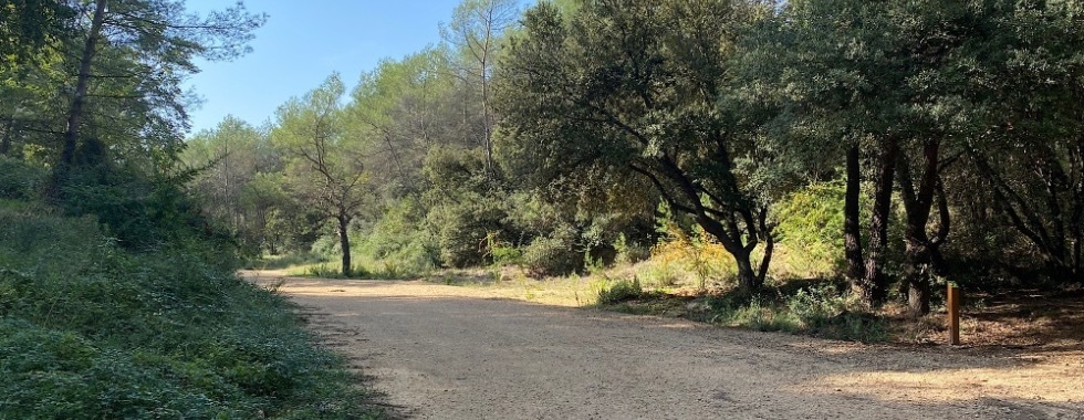 La Sophialissima - 2025