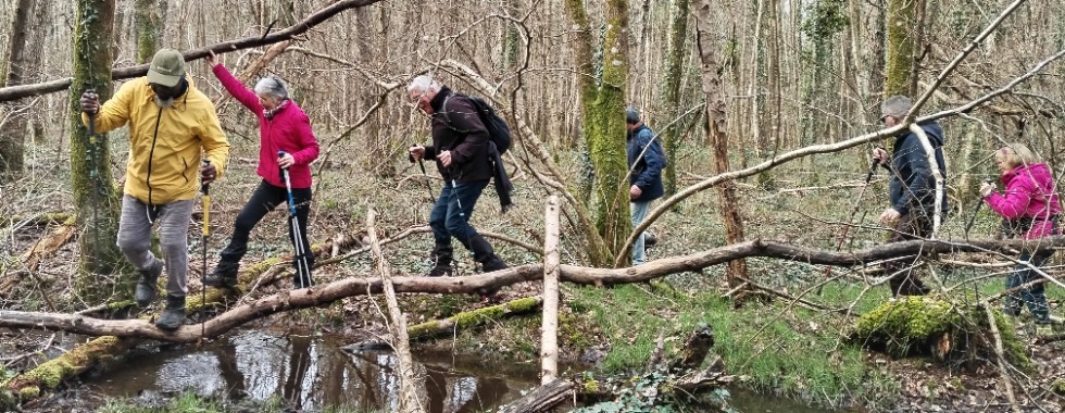 Ste Foy de Montgomery - MG