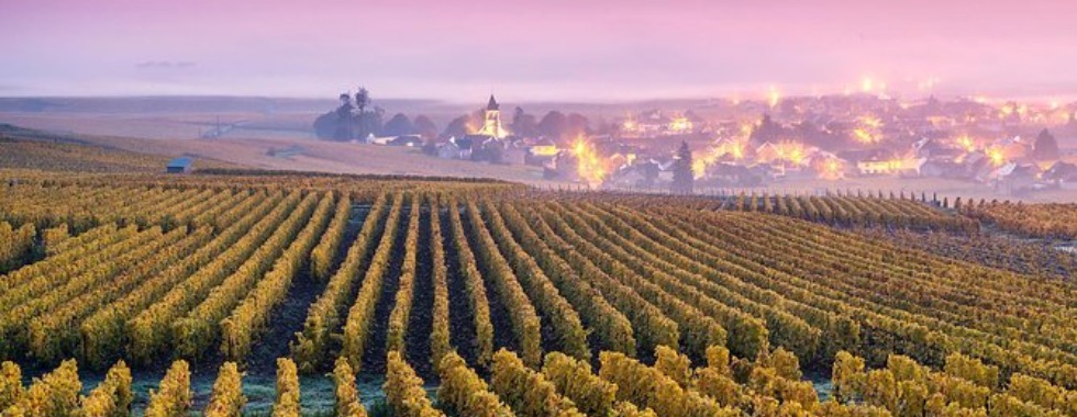 Reims Chatenay via Epernay