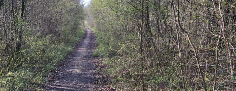 Sentier 43 // Les Rassats - L'échalotte