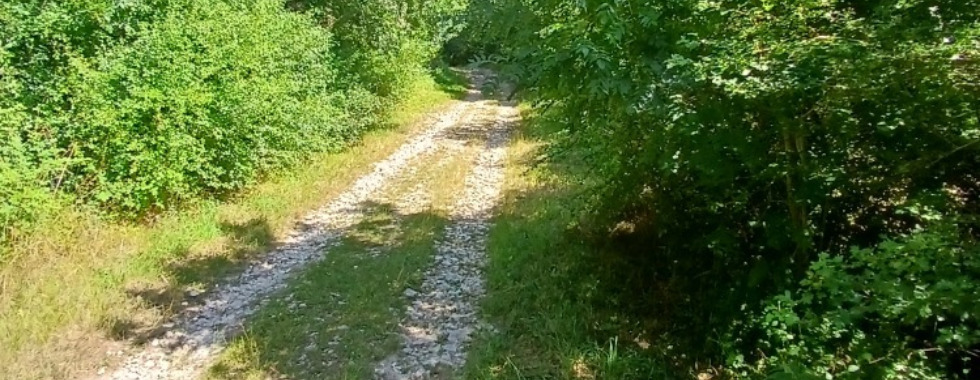 Sentier 28  // Les Rassats - Les Frottards