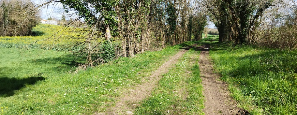 Sentier 31  // Le Bourg - Les Boussats