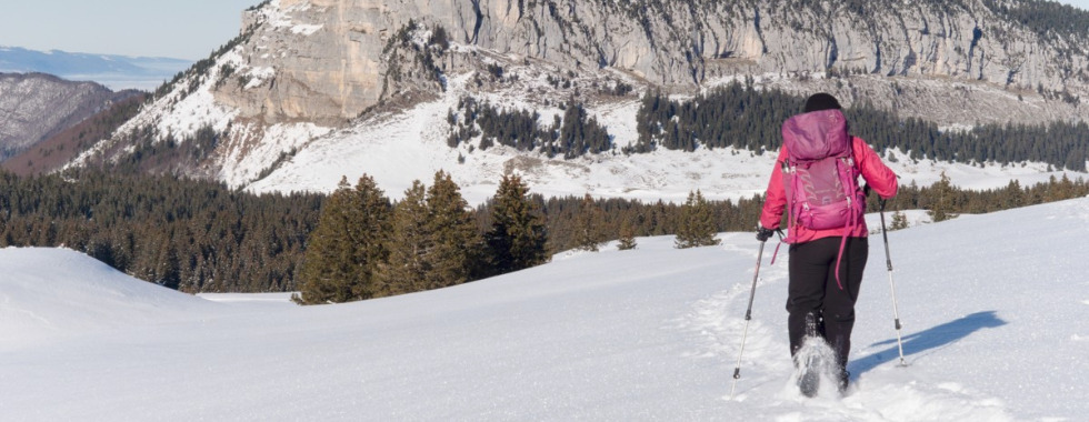 La croix de l'Alpe (raquettes) - 1 jour