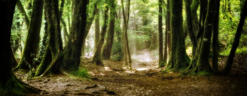 ST-GERMAIN-CORRA-UN PEU DIFFERENT