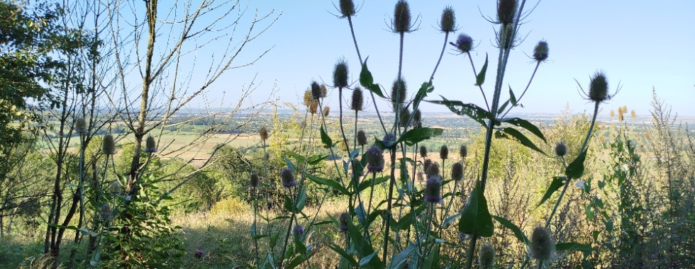 Trail du Billot - 19 km