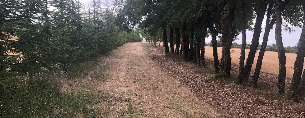 Sentier 25  // Les Frottards - La Prévôterie