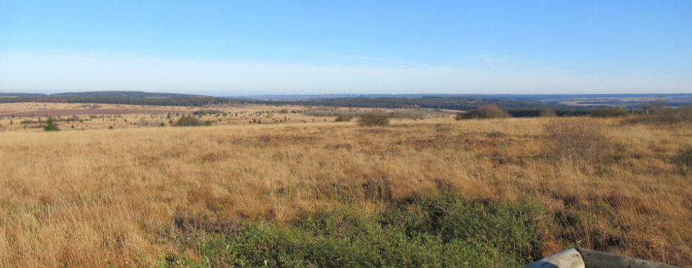 Balade R.S.I.L. 26 octobre 2025