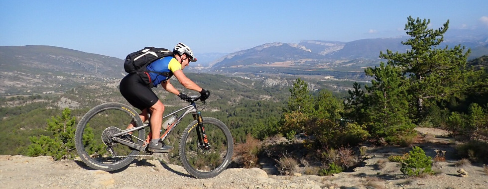 Jarlandine améliorée