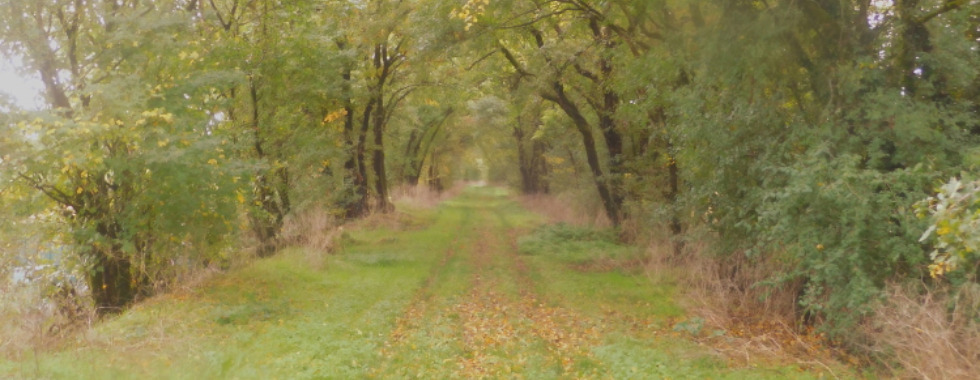 Sentier 22 // Les Gailledrats - La Prévôterie