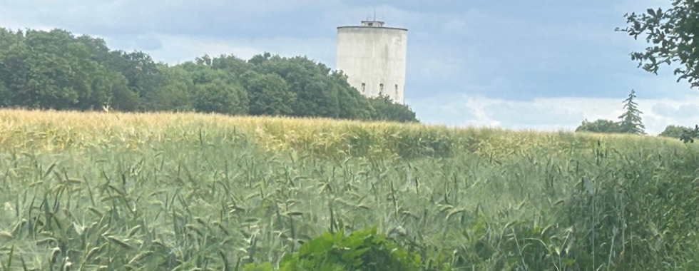 Sentier 19  // Le Maine Joizeau - Chez Masset