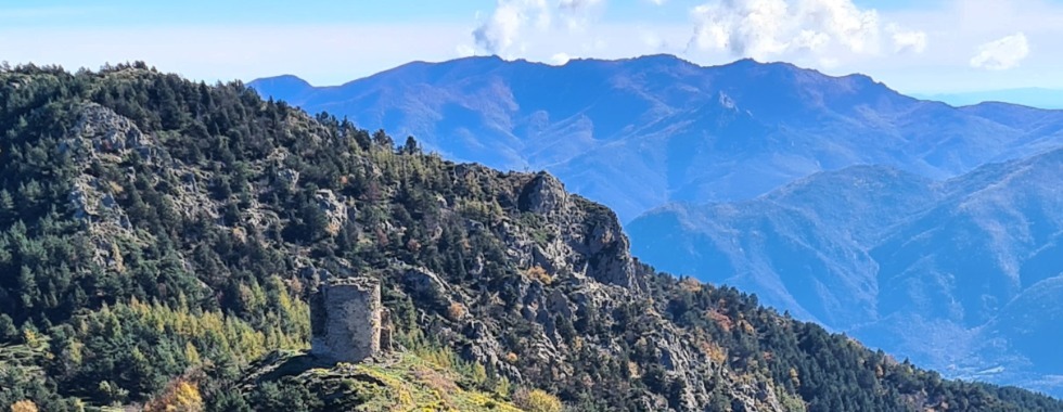 Refuge et tour de Batère, Puig de l'Estelle