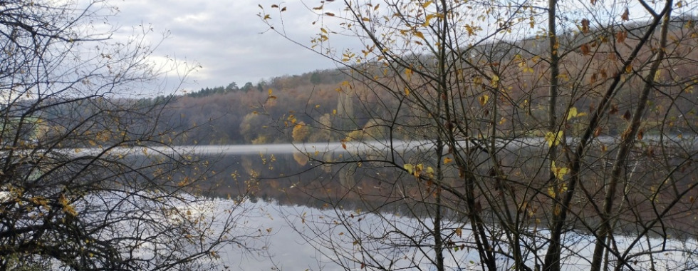 Plan d'Eau de Wolfartshoffen