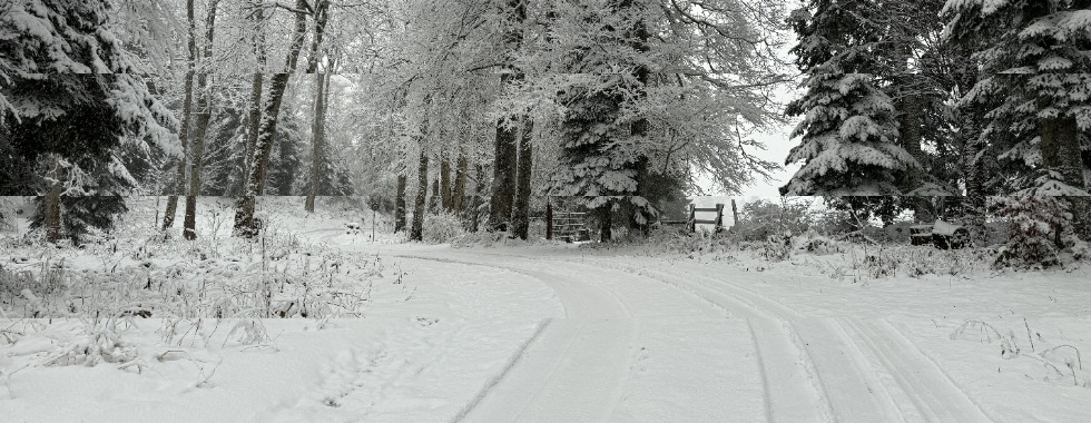 Lajoux cabane de Bellelay