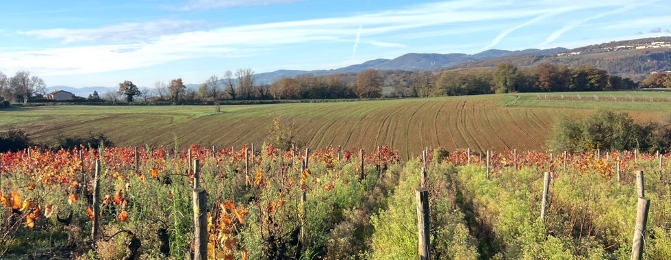 Châtillon trail très court