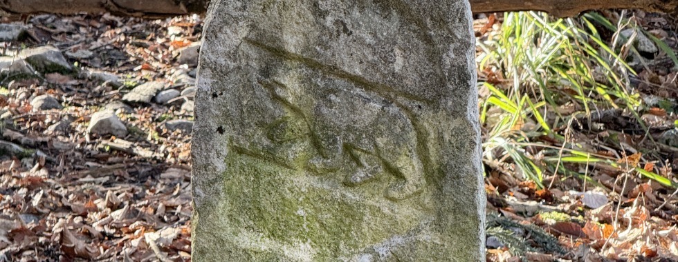 Roche-d'Or Montavon-Réclère