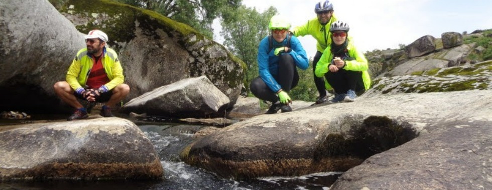 Castaño El Abuelo y La Sapa