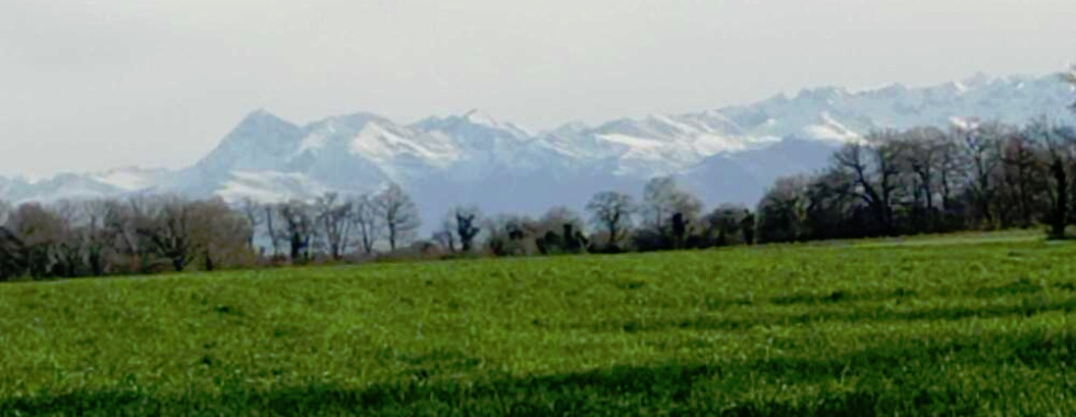 35 km Uzein du 29 déc. 2025