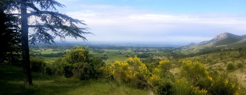 Dentelles de Montmirail.1