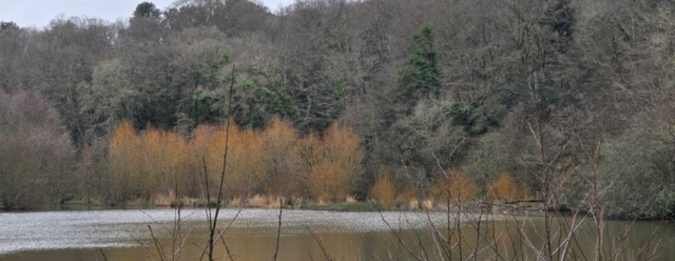 27 FEV 2026 BOIS DE BEAUPORT