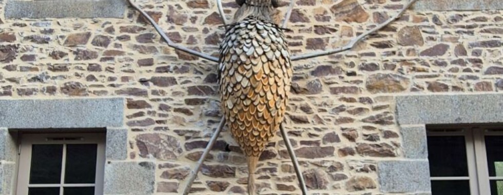 04 MAR 2026 FORET DE PENHOAT