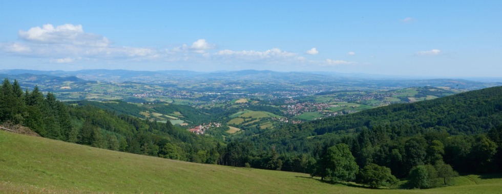 Le panoramique