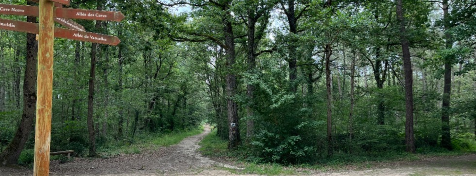 Circuit Gravel N°4 -Brain-sur-Allonnes