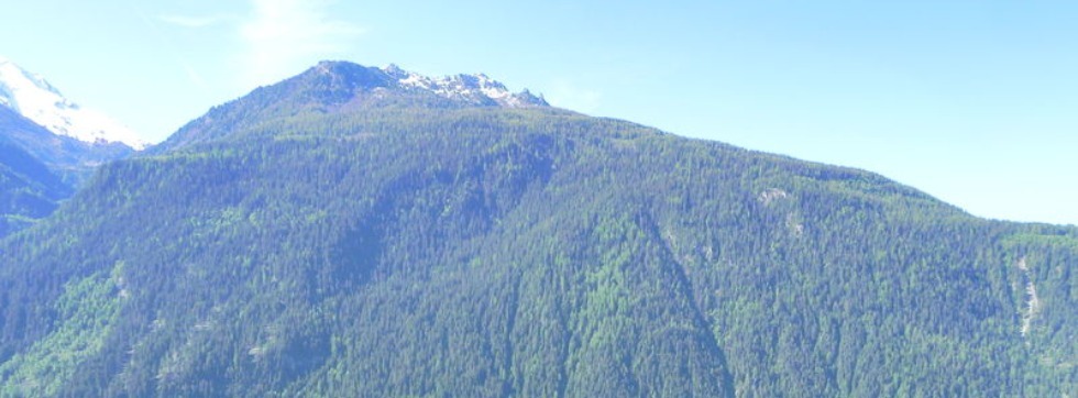 Sentier des Ecureuils