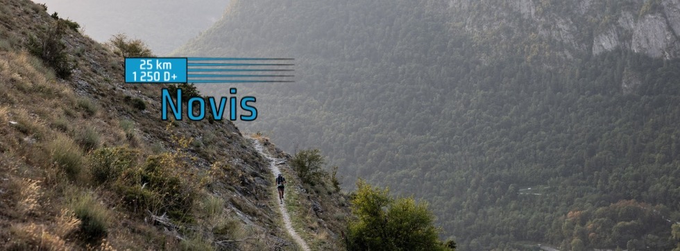 Novis