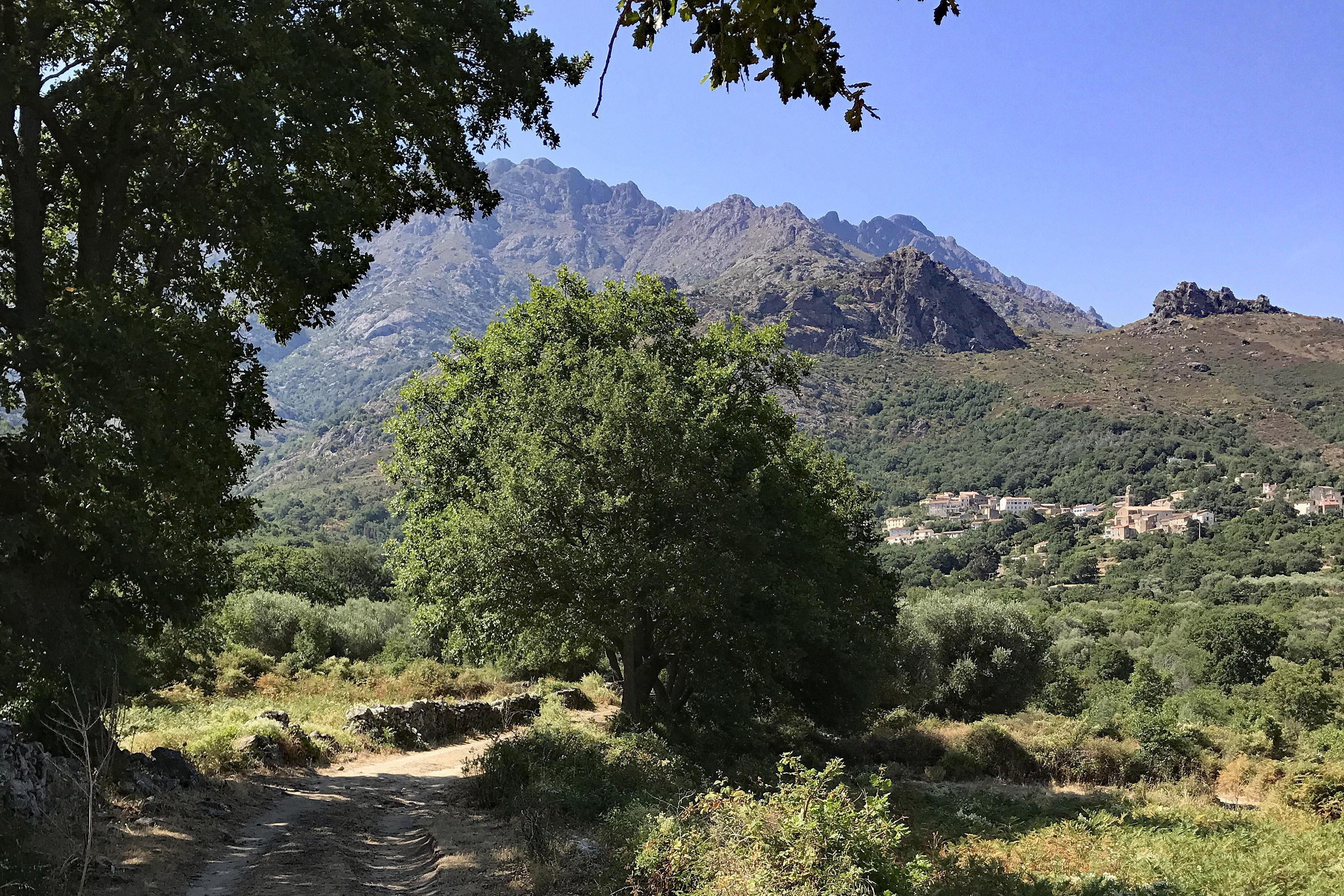 Rando 23 : Boucle de Sant'Andria (Feliceto)