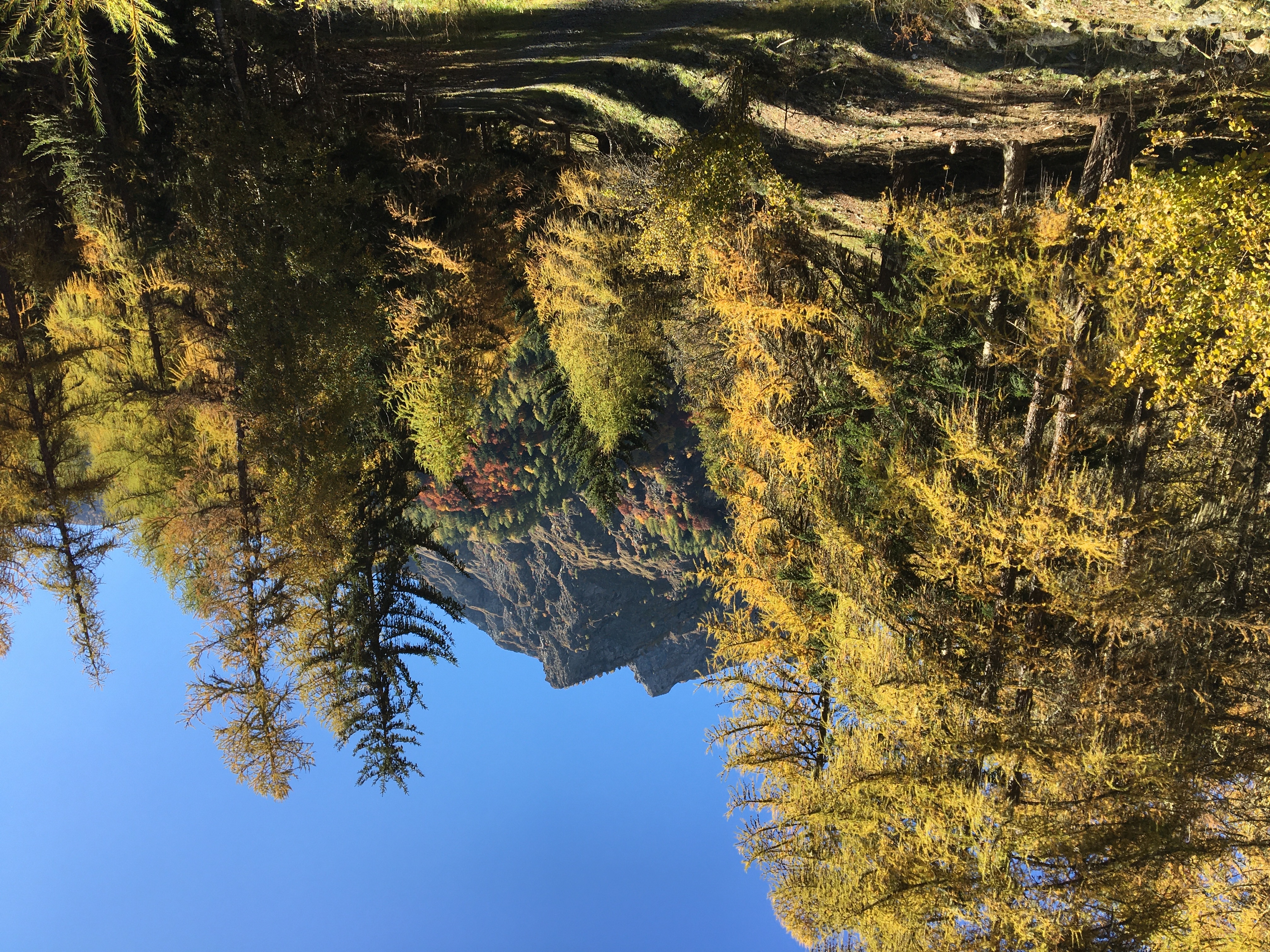Le sentier du Roy