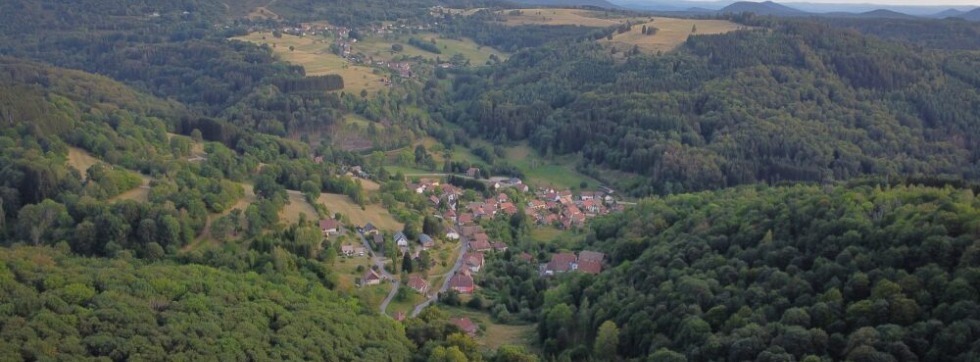 Rando Bruche - Cueillette sauvage